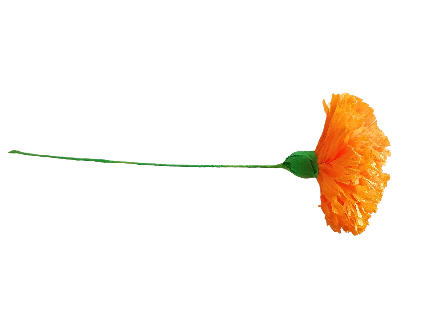 Flor de cempasúchil (Docena)