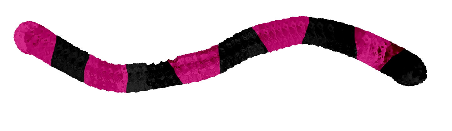 Galleta de papel