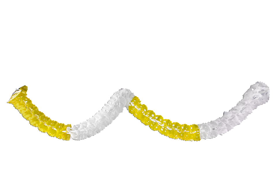 Gusano de papel