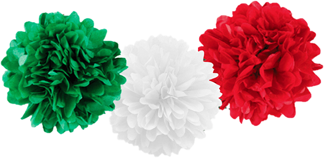 Flores de pompón